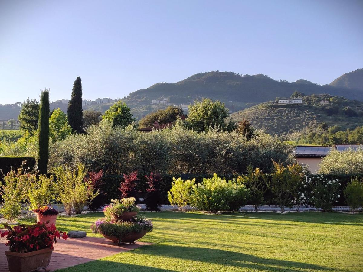 Tuscan Villa exclusive use of private pool A/C Wifi Villa Briciola Capannori Esterno foto