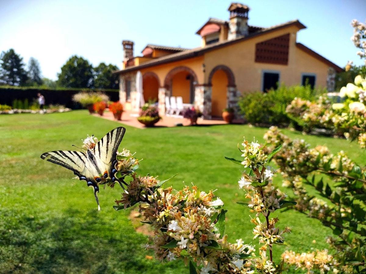 Tuscan Villa exclusive use of private pool A/C Wifi Villa Briciola Capannori Esterno foto
