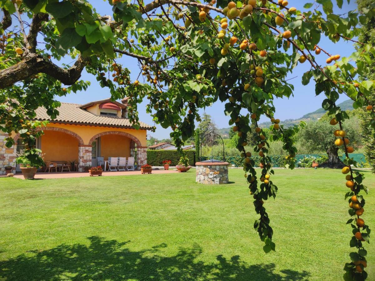 Tuscan Villa exclusive use of private pool A/C Wifi Villa Briciola Capannori Esterno foto