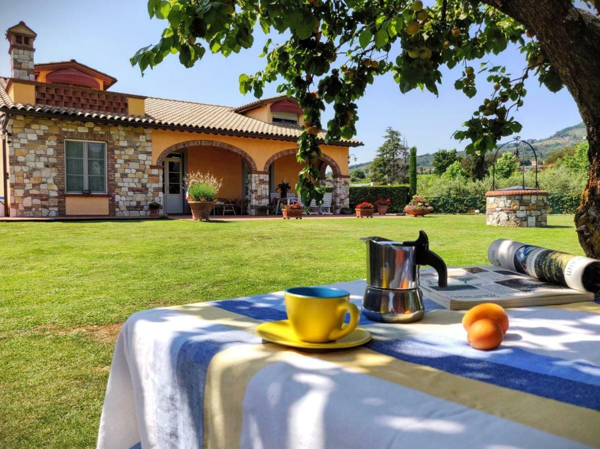 Tuscan Villa exclusive use of private pool A/C Wifi Villa Briciola Capannori Esterno foto
